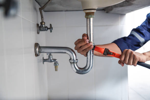 Best Plumbing Inspection Services  in Sheldon, TX